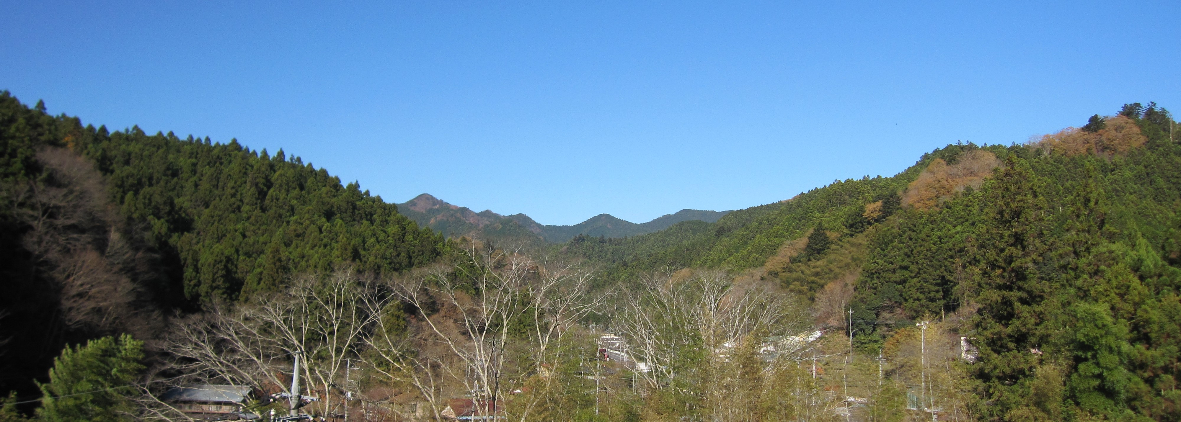 施設周辺の山林風景。緑豊かな自然環境に囲まれた立地